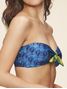 ARARAS_11383_11385_312-19234