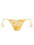 Lavie-estampa_18179-1