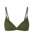 Olive-02